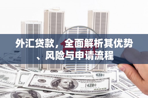 台中外汇贷款，全面解析其优势、风险与申请流程