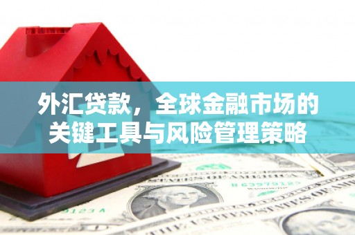 台中外汇贷款，全球金融市场的关键工具与风险管理策略