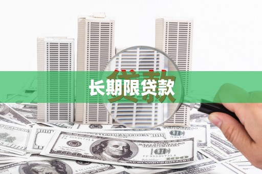 台中长期限贷款