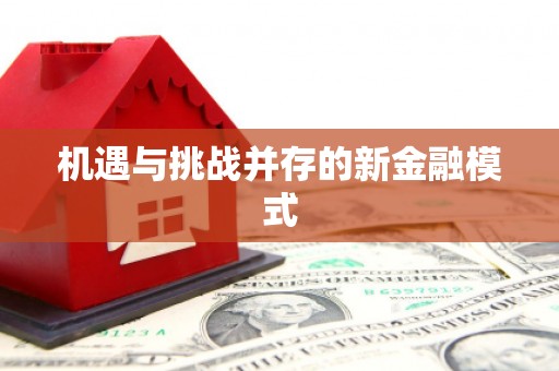 台中机遇与挑战并存的新金融模式