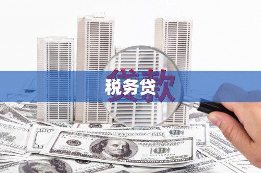 台中税务贷