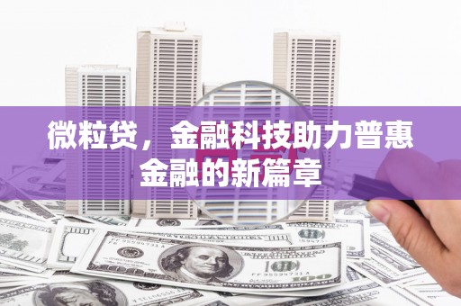 台中微粒贷，金融科技助力普惠金融的新篇章