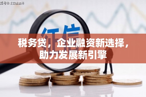 台中税务贷，企业融资新选择，助力发展新引擎