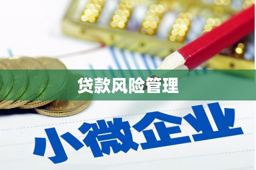 台中贷款风险管理