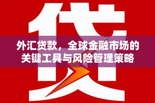 台中外汇贷款，全球金融市场的关键工具与风险管理策略