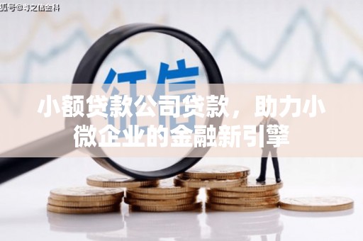 台中小额贷款公司贷款，助力小微企业的金融新引擎