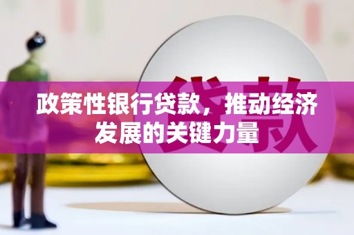 台中政策性银行贷款，推动经济发展的关键力量