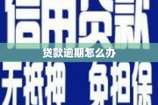 台中贷款逾期怎么办