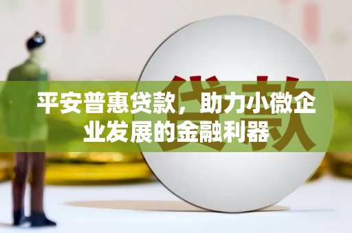台中平安普惠贷款，助力小微企业发展的金融利器
